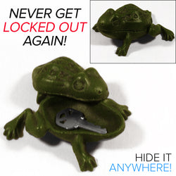 Hidden Key Frog